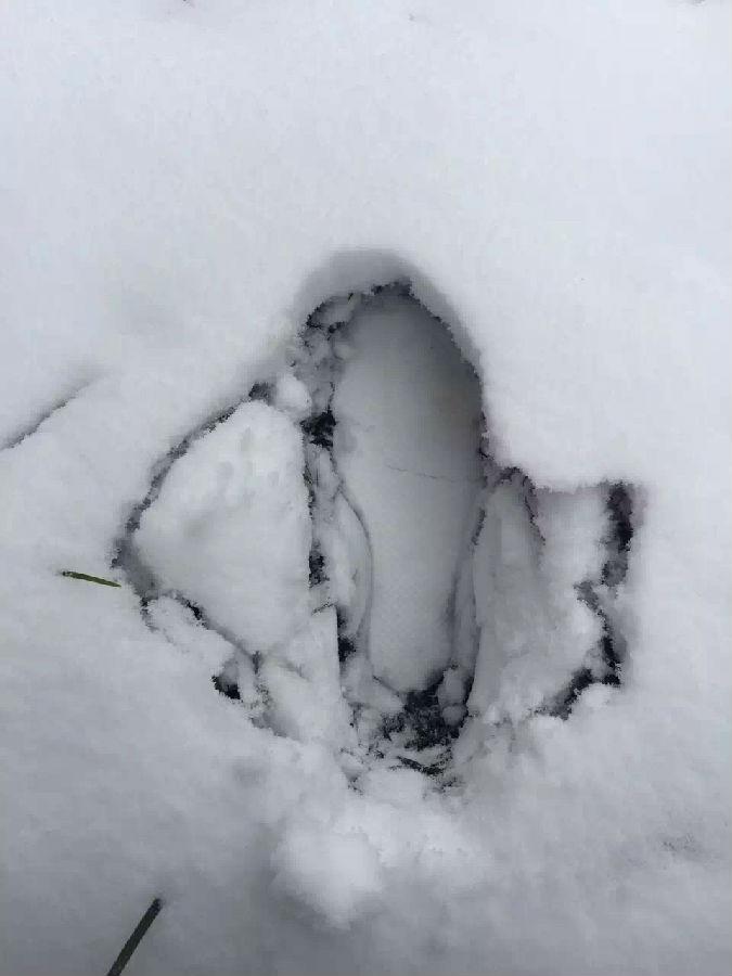 濾油機(jī)濾芯_重慶下雪啦